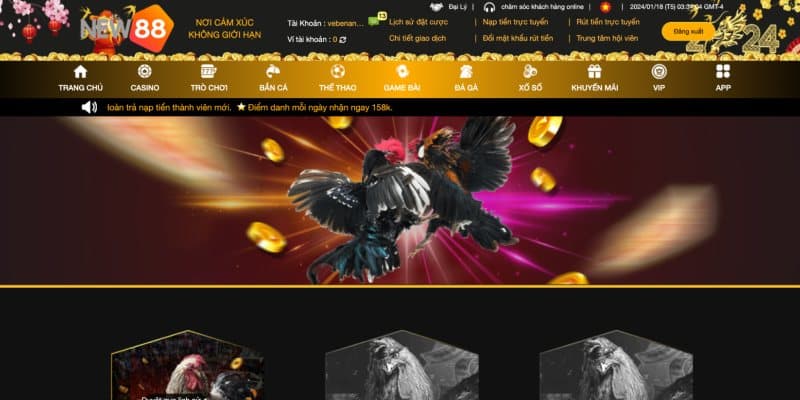 Giới thiệu Đá Gà NEW88
